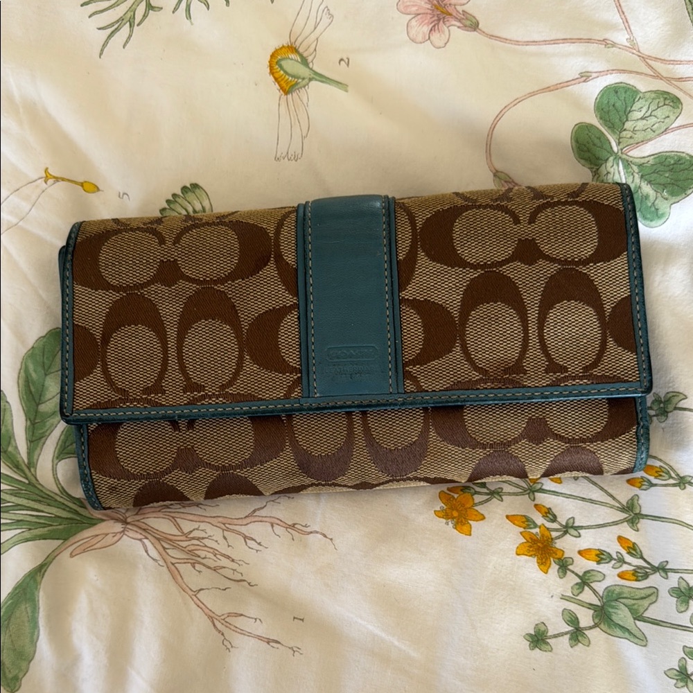 Brown and Teal Clutch